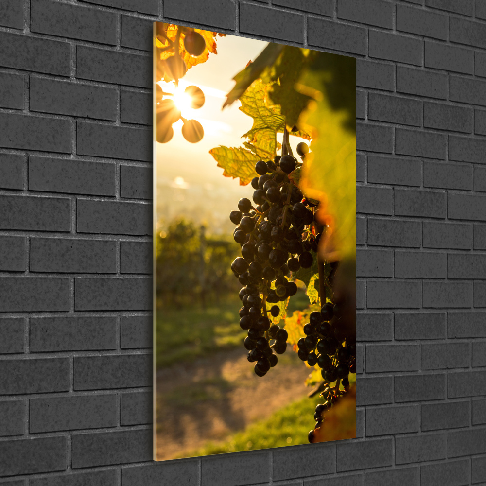 Tableau sur verre Vignoble