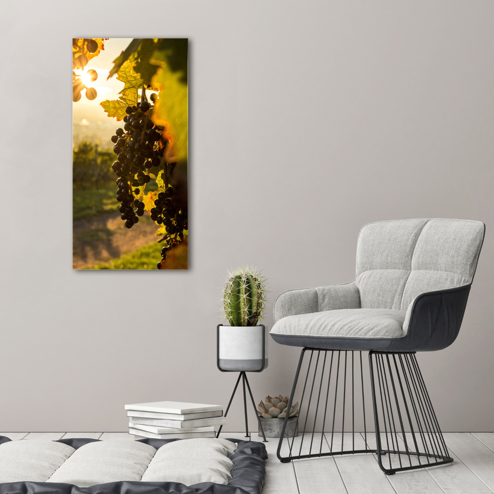 Tableau sur verre Vignoble