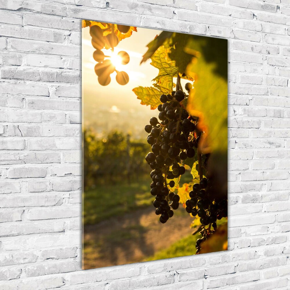 Tableau sur verre Vignoble