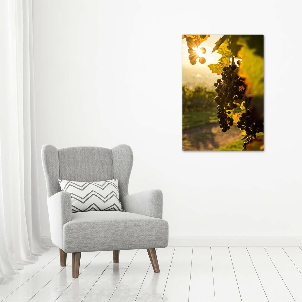 Tableau sur verre Vignoble