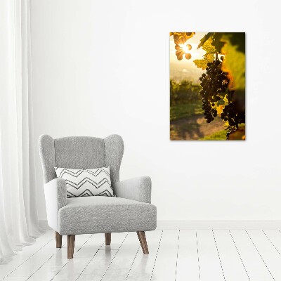 Tableau sur verre Vignoble