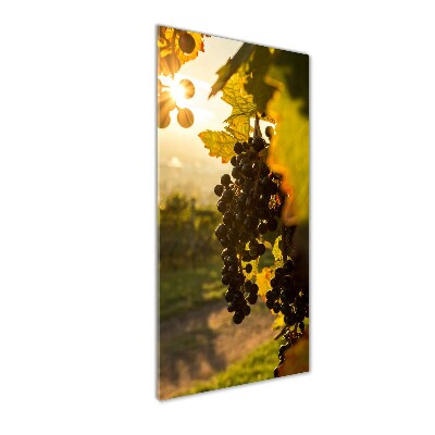 Tableau sur verre Vignoble