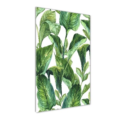 Tableau photo sur verre Feuilles tropicales plantes