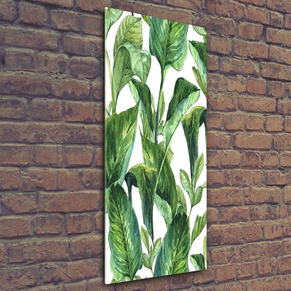 Tableau photo sur verre Feuilles tropicales plantes