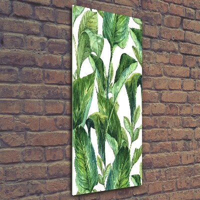 Tableau photo sur verre Feuilles tropicales plantes