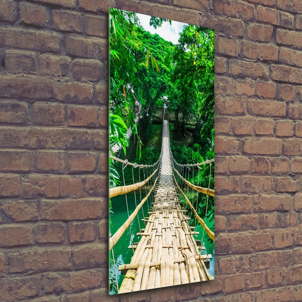 Tableau sur verre Pont de la jungle