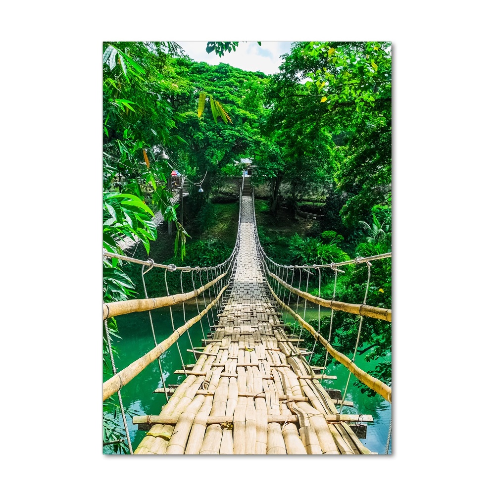 Tableau sur verre Pont de la jungle