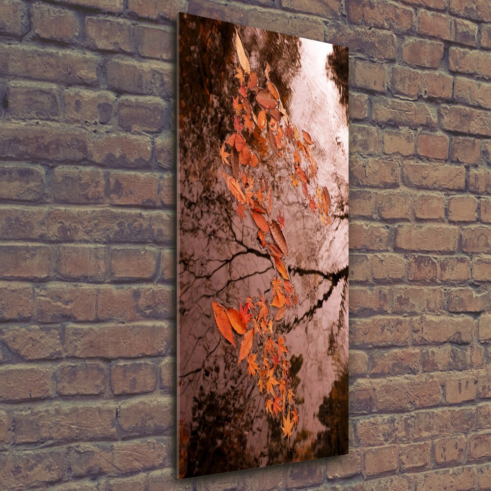 Tableau imprimé sur verre Feuilles d'automne