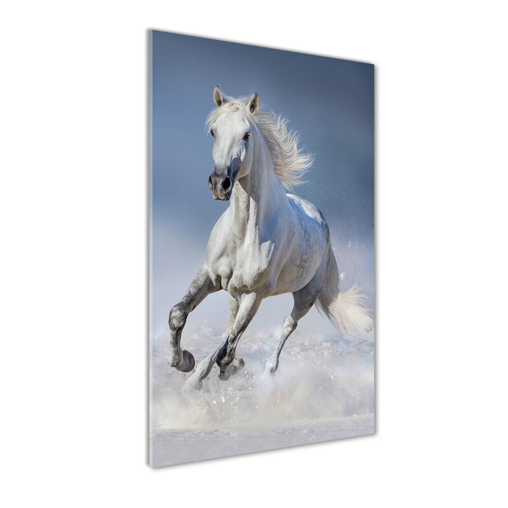 Tableau sur verre Cheval blanc au galop