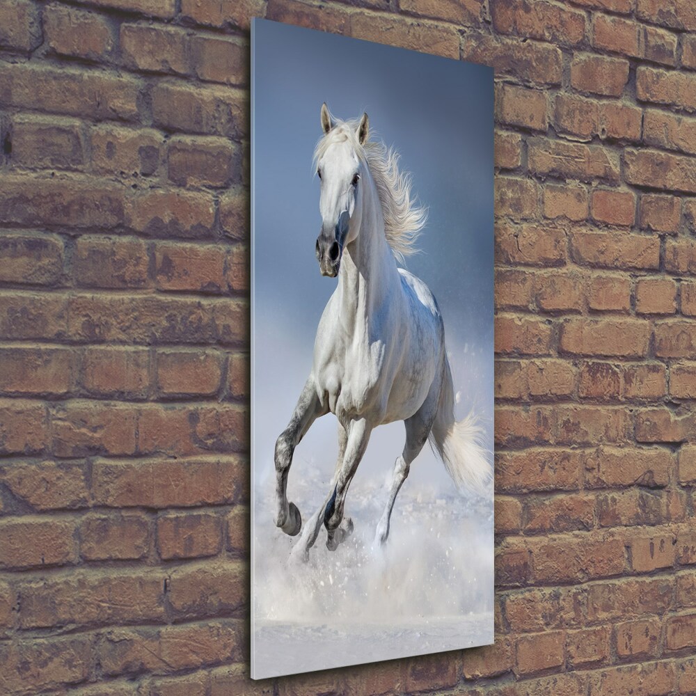 Tableau sur verre Cheval blanc au galop