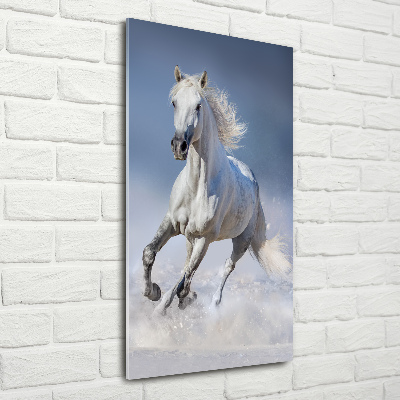 Tableau sur verre Cheval blanc au galop