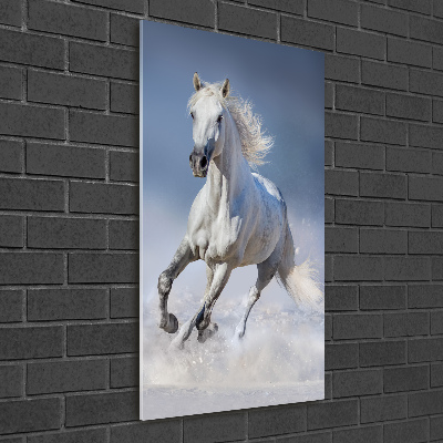 Tableau sur verre Cheval blanc au galop