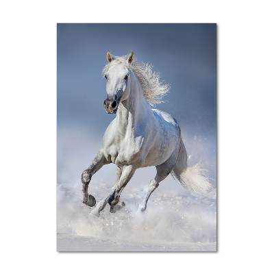 Tableau sur verre Cheval blanc au galop