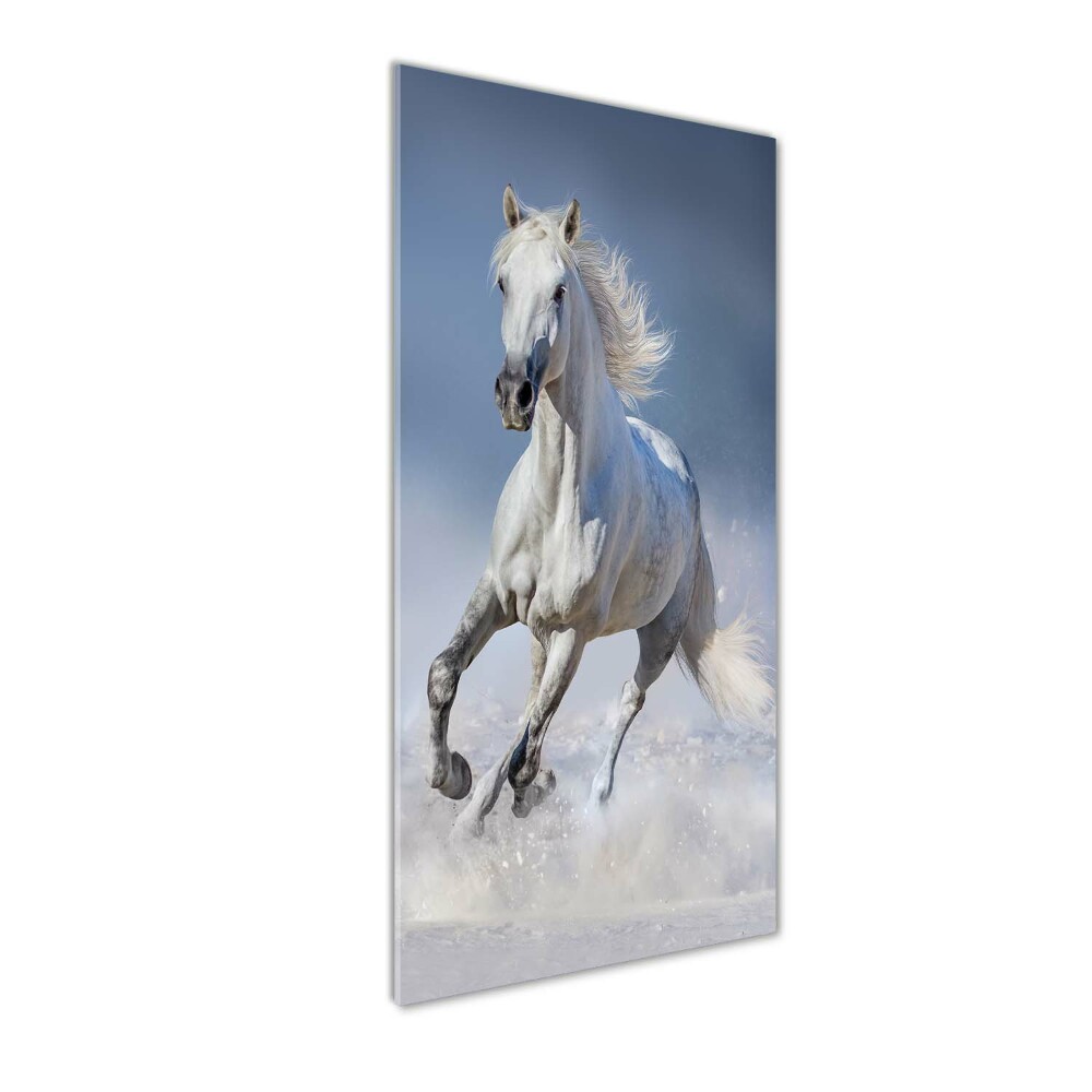 Tableau sur verre Cheval blanc au galop