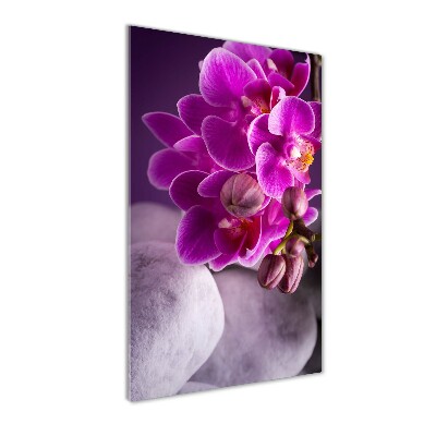 Tableau en verre Orchidée rose