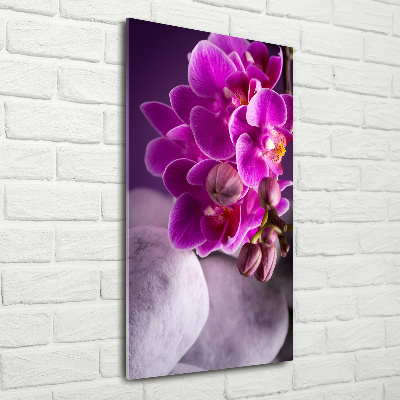 Tableau en verre Orchidée rose