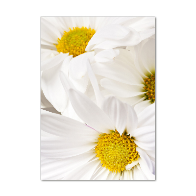 Tableau verre imprimé Fleurs de marguerite