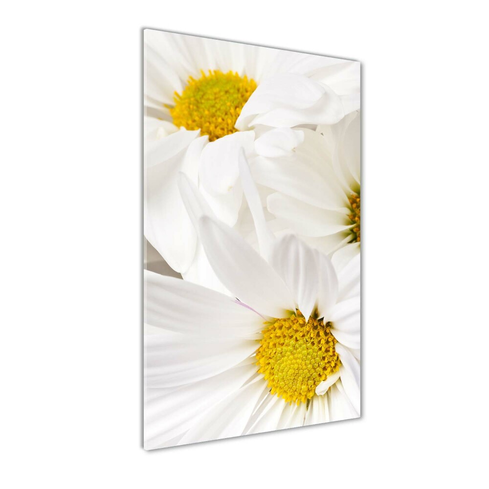 Tableau verre imprimé Fleurs de marguerite