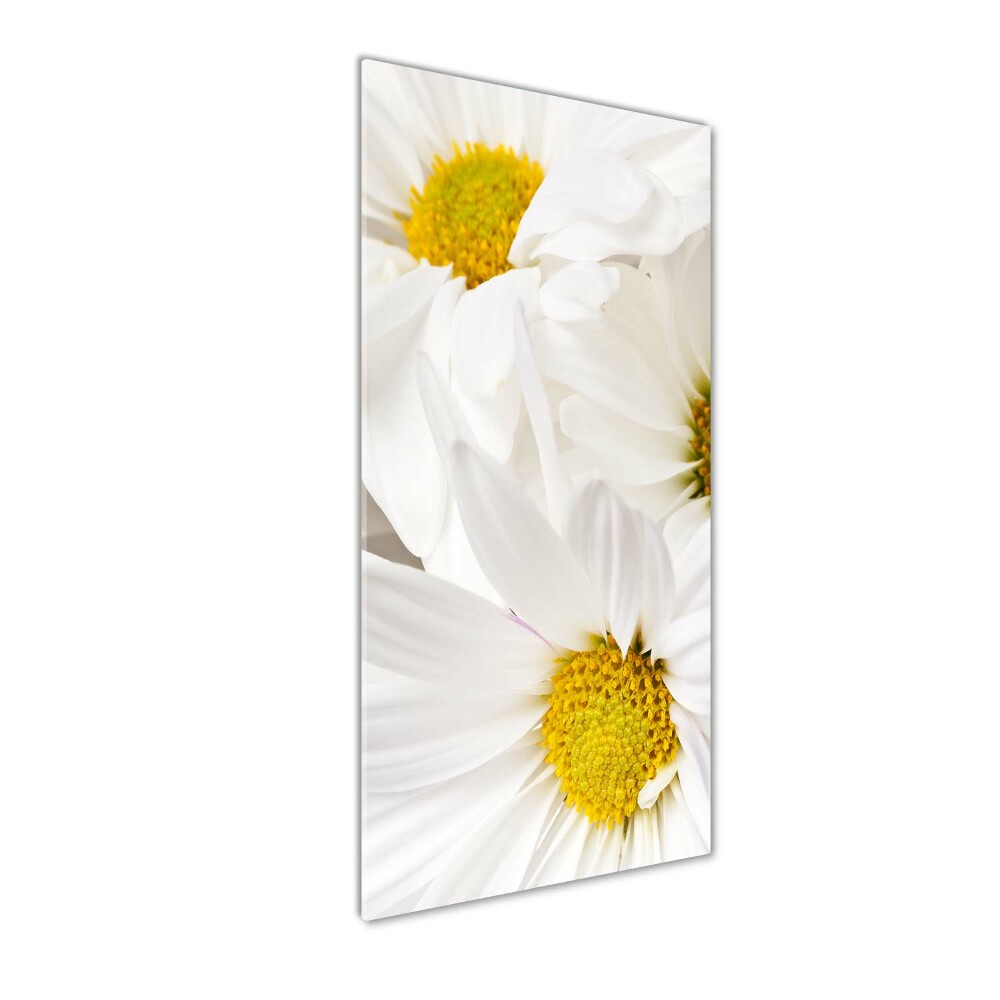 Tableau verre imprimé Fleurs de marguerite