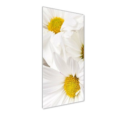 Tableau verre imprimé Fleurs de marguerite