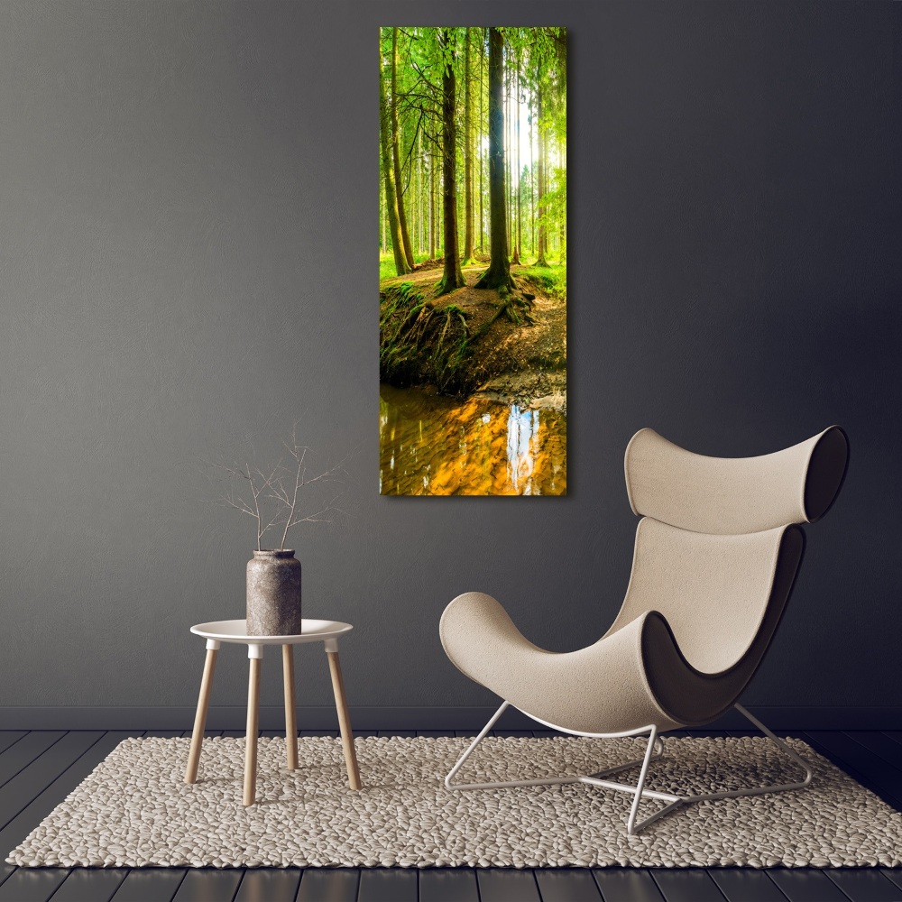 Tableau imprimé sur verre Ruisseau dans la forêt