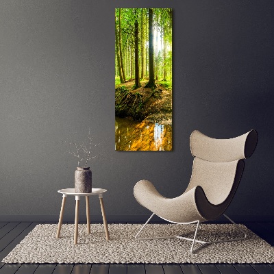 Tableau imprimé sur verre Ruisseau dans la forêt