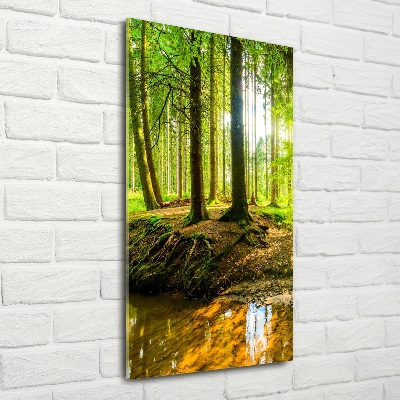 Tableau imprimé sur verre Ruisseau dans la forêt