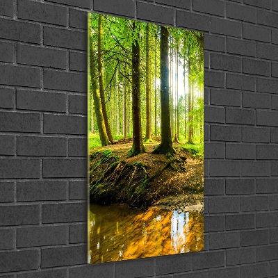 Tableau imprimé sur verre Ruisseau dans la forêt