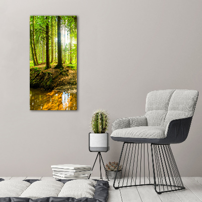 Tableau imprimé sur verre Ruisseau dans la forêt