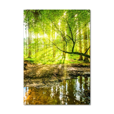 Tableau imprimé sur verre Ruisseau dans la forêt