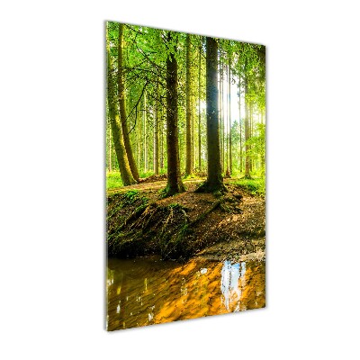 Tableau imprimé sur verre Ruisseau dans la forêt