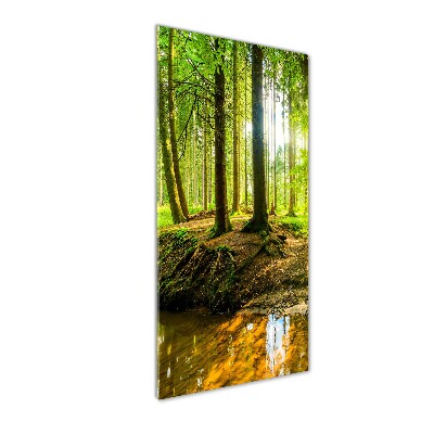 Tableau imprimé sur verre Ruisseau dans la forêt