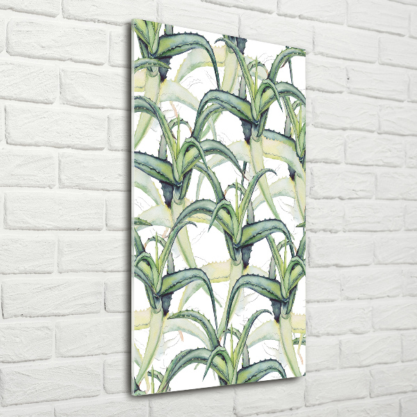 Tableau sur verre Aloe vera