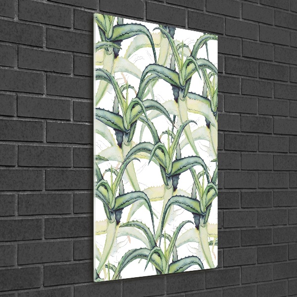 Tableau sur verre Aloe vera