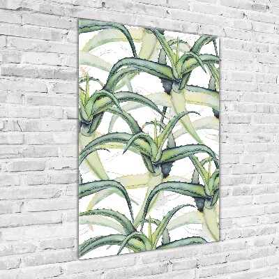 Tableau sur verre Aloe vera