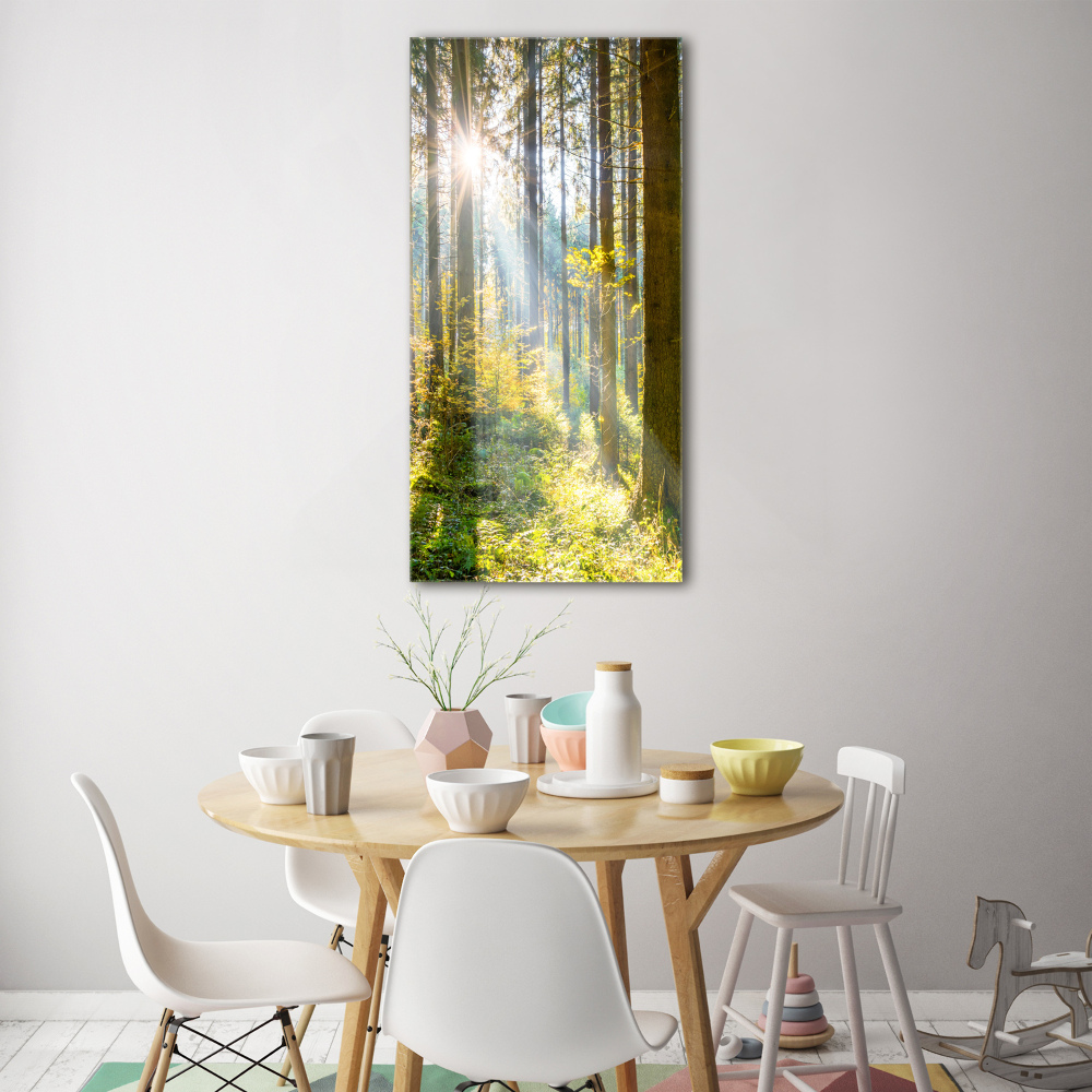 Tableau verre imprimé Le soleil dans la forêt