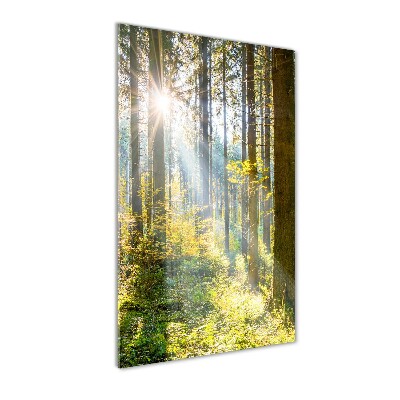 Tableau verre imprimé Le soleil dans la forêt