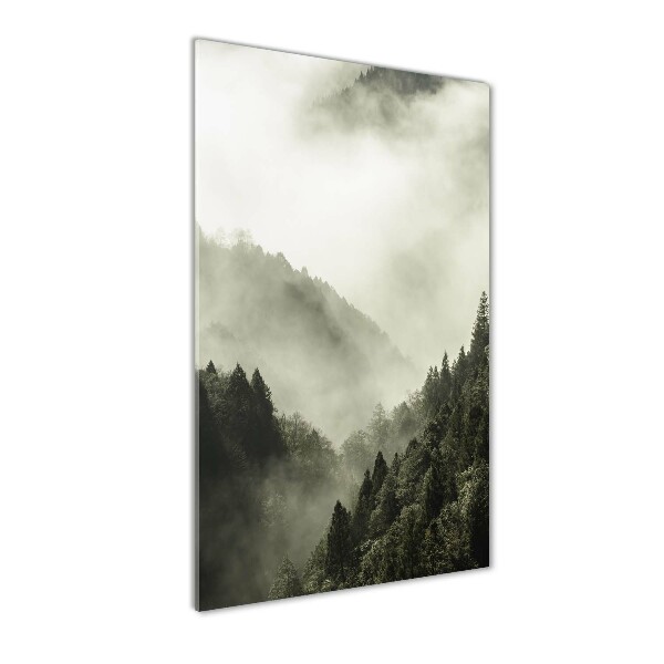 Brume sur la forêt