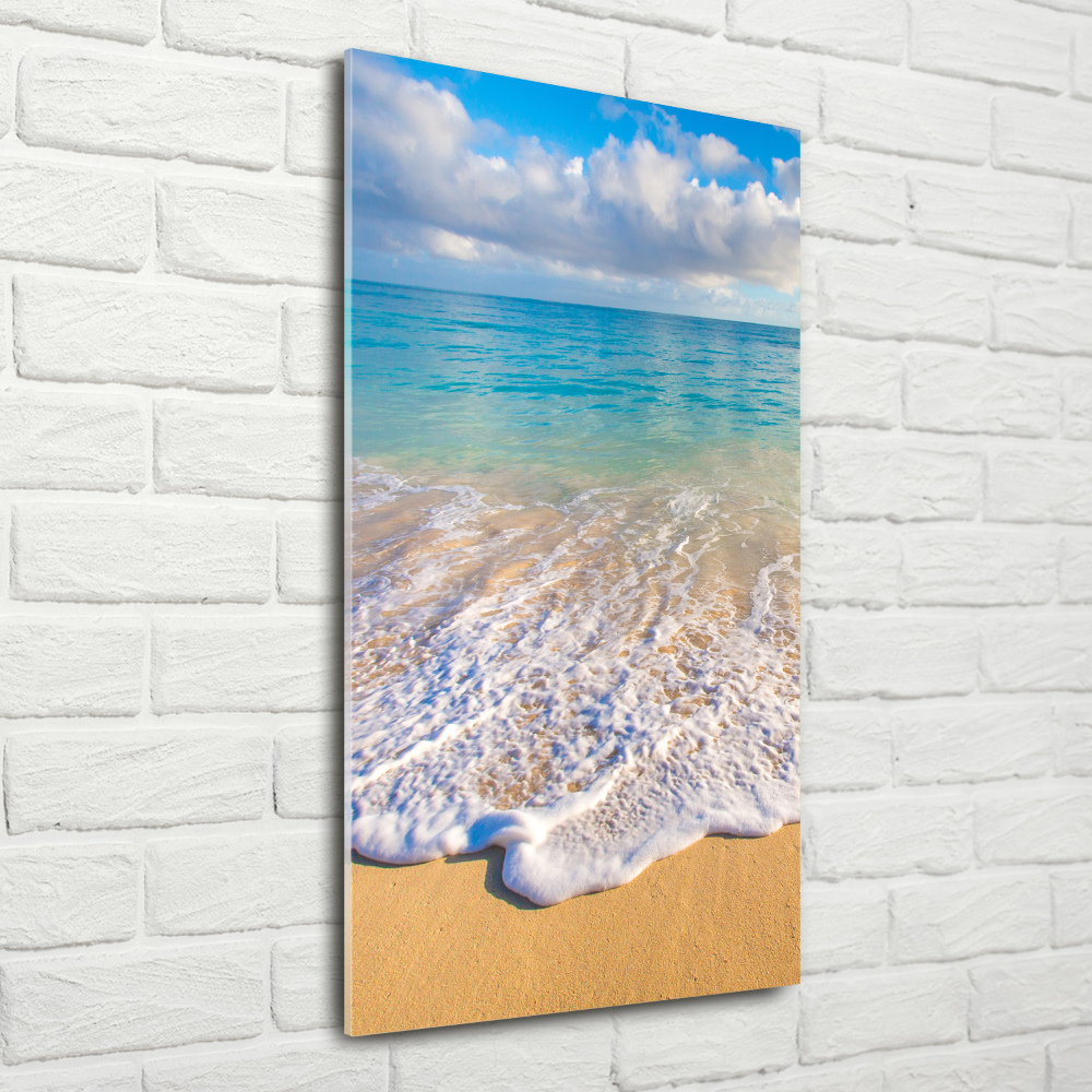 Tableau photo sur verre Plage tropicale palmiers