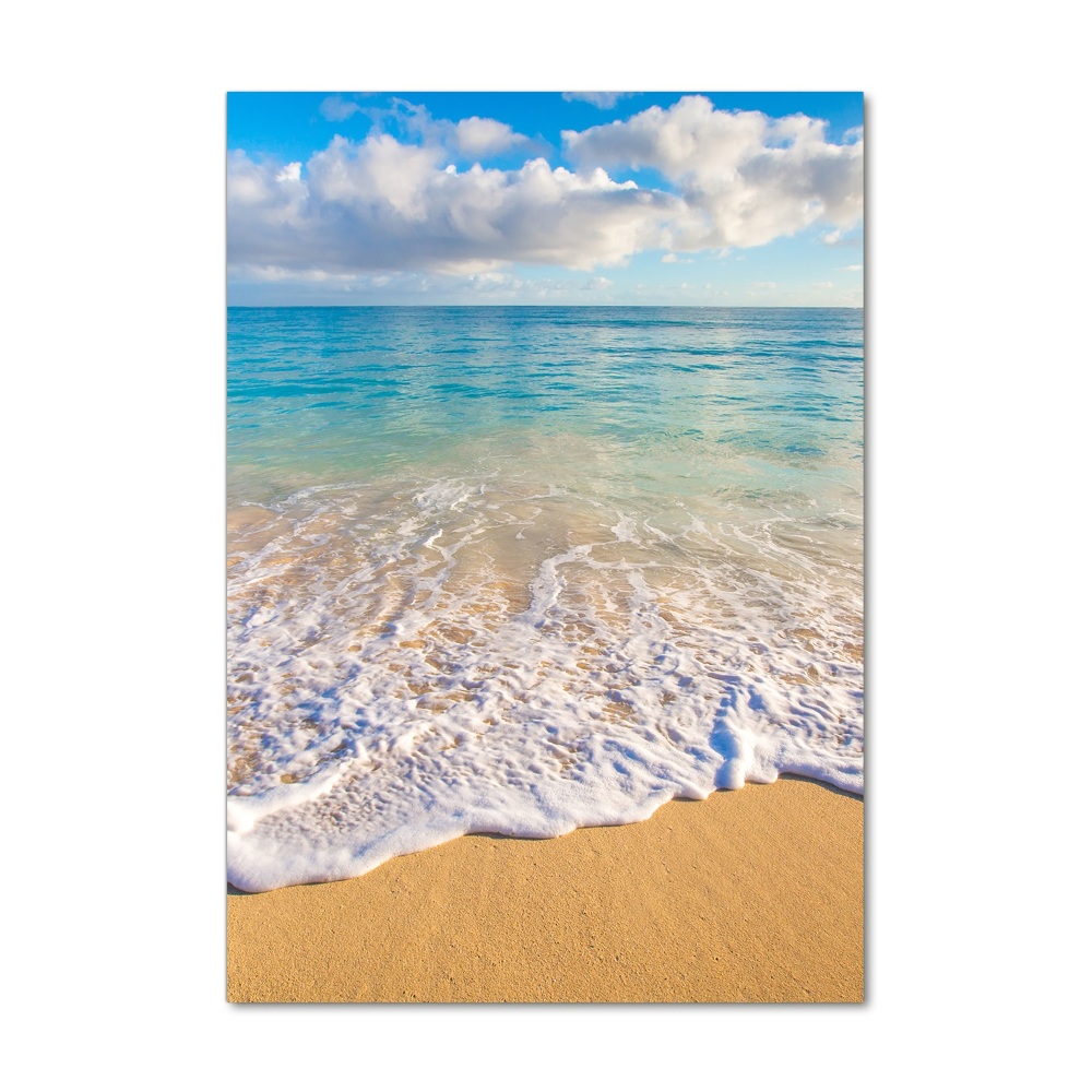 Tableau photo sur verre Plage tropicale palmiers