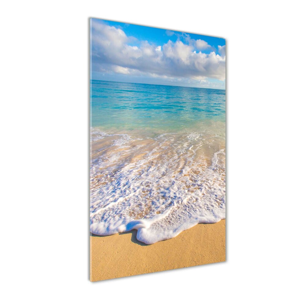 Tableau photo sur verre Plage tropicale palmiers