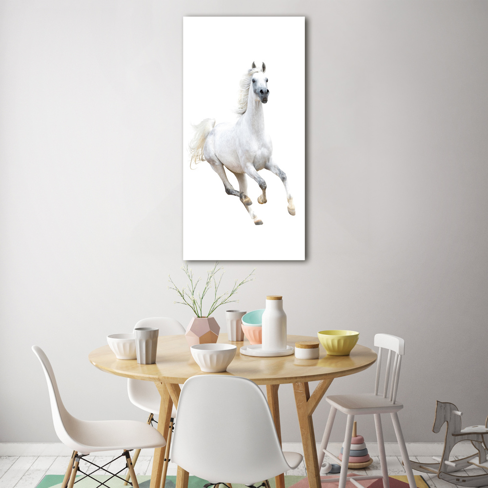 Tableau verre imprimé Cheval blanc au galop