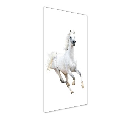 Tableau verre imprimé Cheval blanc au galop