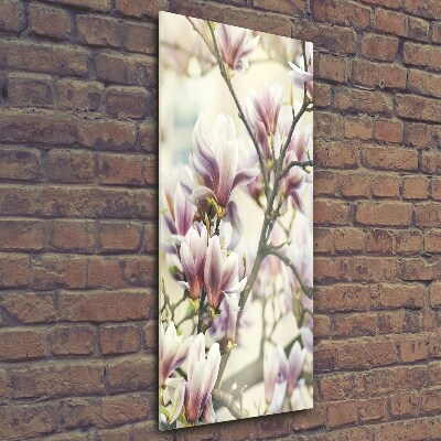 Tableau sur verre Fleur de magnolia