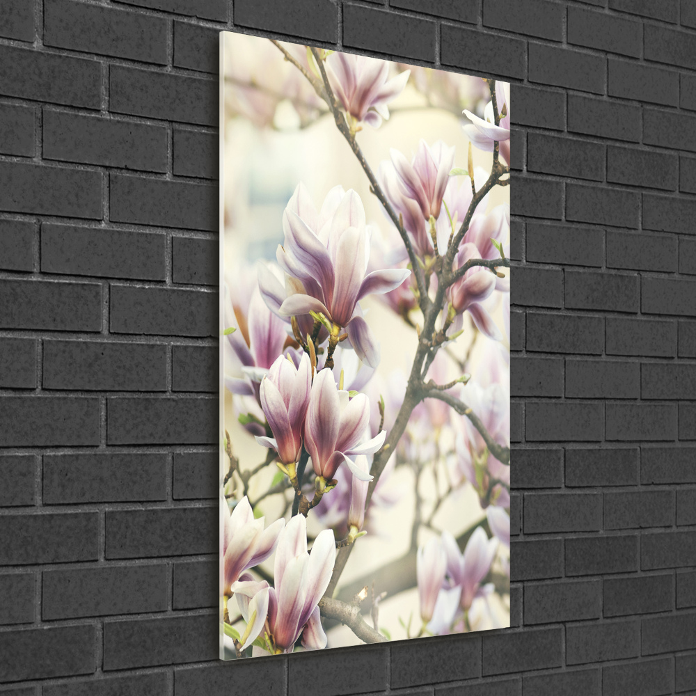 Tableau sur verre Fleur de magnolia