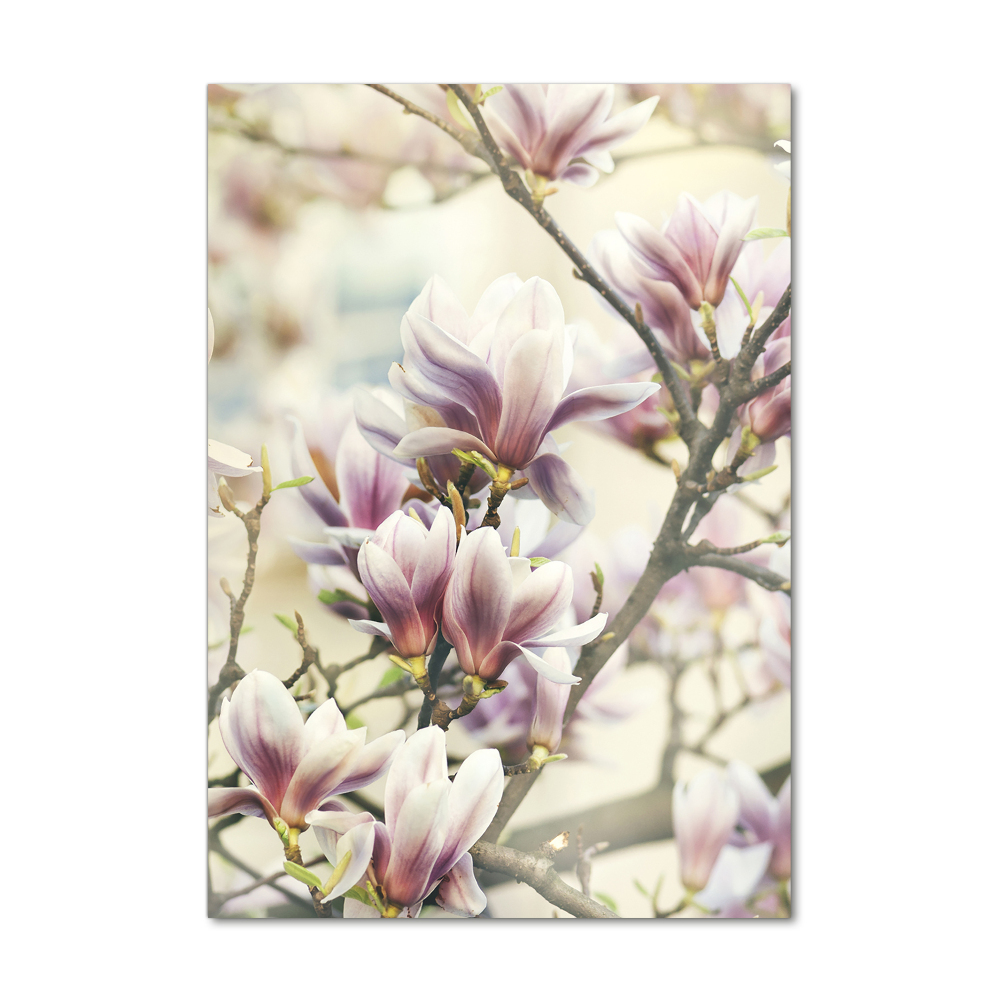 Tableau sur verre Fleur de magnolia