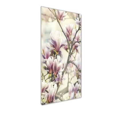 Tableau sur verre Fleur de magnolia