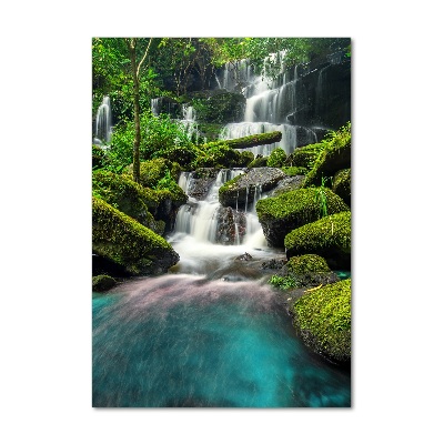 Tableau imprimé sur verre Chute d'eau dans la jungle