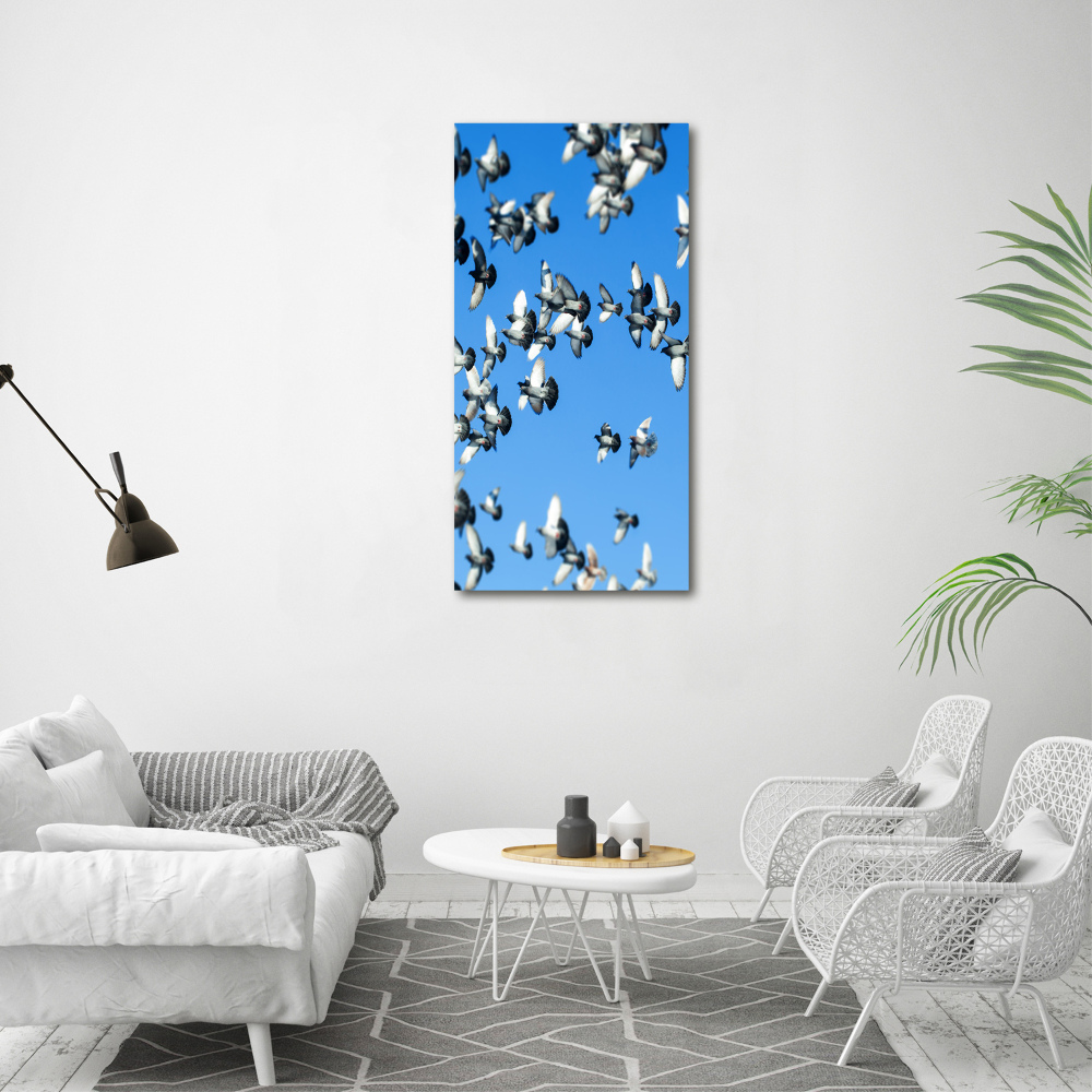 Tableau photo sur verre Pigeons dans le ciel