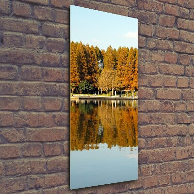 Tableau photo sur verre Parc en automne